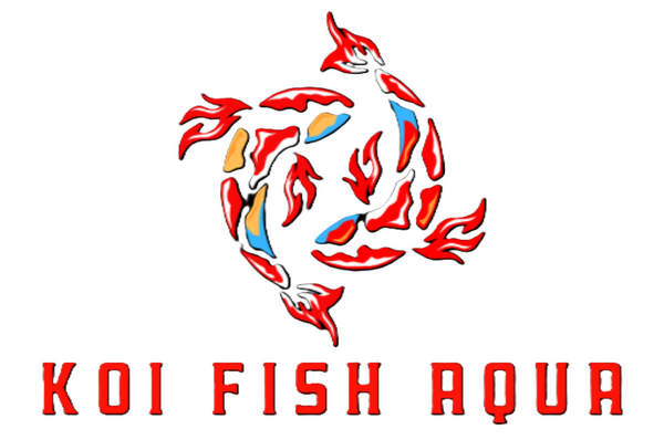 Koi Fish Aqua